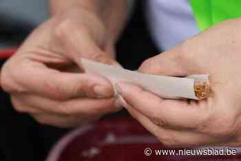 Puursenaar (21) loopt tegen de lamp tijdens banale politiecontrole: “Hij probeerde weg te vluchten en gooide 50 gram hasj weg”