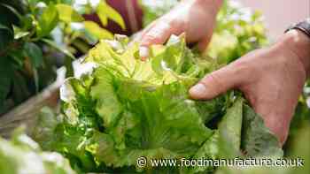 Vertical farming could be ‘greener than first thought’