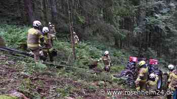 Oldtimer-Traktor stürzt im Salzburger Land 30 Meter in Wald ab - Zwei junge Männer verletzt