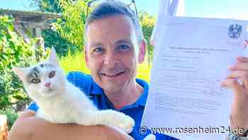 ORF will Ex-Politiker-Katze „Chouchou“ wegen fehlendem Beitrag pfänden