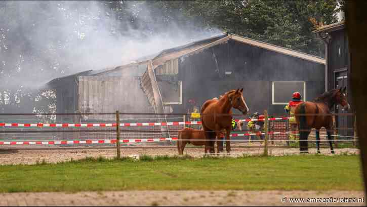 Schokland - Paarden in veiligheid gebracht bij rokende hooibalen door broei
