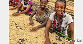 Subsidie mogelijk voor mkb en lokale partners voor IMVO