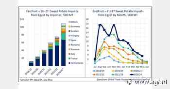 Egypte exporteert meer zoete aardappelen naar EU dan VS