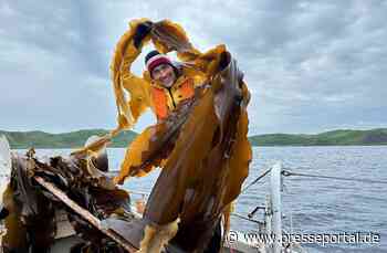 "Terra X: Thunfisch – Der bedrohte Jäger" im ZDF
