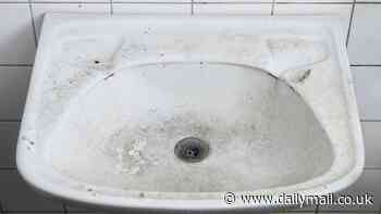 The germs lurking in your SINK: Handbasins are hotspots for dangerous microbes that can cause pneumonia, Legionnaires' disease and wound infections, study warns