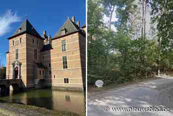 Man (28) maakt graf in tuin en takelt vader toe met hamer: celstraf en psychiatrische behandeling opgelegd