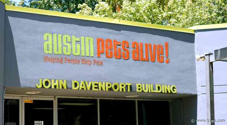 Austin Pets Alive! kicks off donation drive, in need of 'critical' supplies