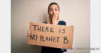 Schuldig genieten: vol klimaatambivalentie de zomer door