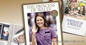 Order The Princess of Wales: A Portrait of Courage and Grace!