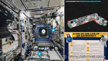 Could YOU survive on the ISS? Claustrophobia-inducing virtual tour lets you imagine what it's like for NASA's trapped astronauts - who have to sleep in phonebooth-sized bedrooms, use vacuum-powered toilets, and wear the same underwear for WEEKS on end