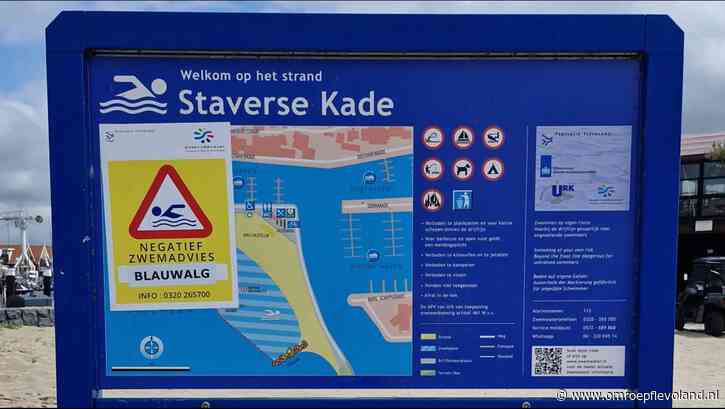 Urk - Weer blauwalg, nu bij Staverse Kade en Dijkstrand