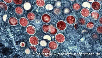 Höchste Alarmstufe wegen Mpox-Virus - was bedeutet das?