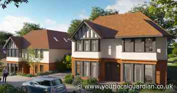 Plans to demolish Croydon stately home for new houses 'will ruin lives'