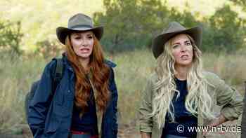 Vip Vip, Hurra!: Warum kluge Menschen das Dschungelcamp gucken