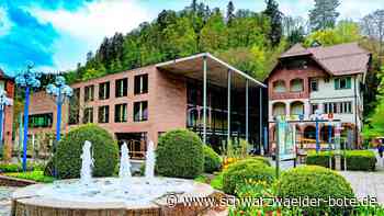 Anzeige gegen Bad Liebenzeller Stadtrat: Fischer fühlt sich von Grießhaber beleidigt