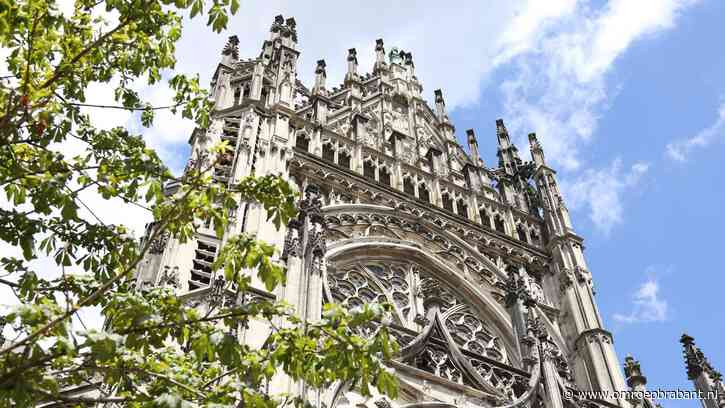Verwarde man beklimt Sint-Janskathedraal: 'Hij zat een sigaretje te roken'