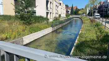 Badeverbote in Kanälen gehören auf den Prüfstand