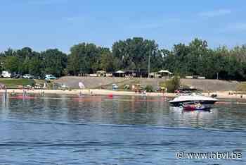 Ook blauwalg in Maasplassen bij De Steenberg Kinrooi