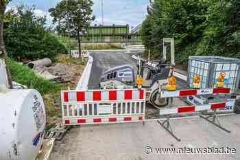 Buren zijn aanslepende werken aan Hasseltse Spoorwegstraat meer dan beu