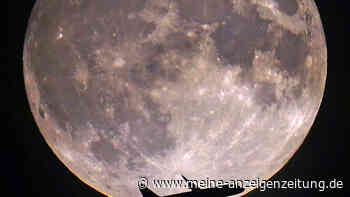 Seltener blauer Supermond im August 2024: Was es mit dem Phänomen auf sich hat