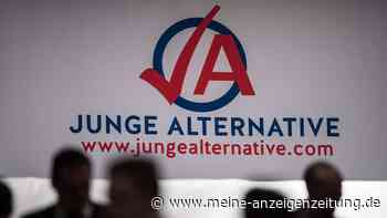 Eine Alternative für die „Junge Alternative“: AfD-Führung will wohl neue Jugendorganisation