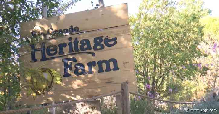 ABQ BioPark searching for assistant zookeepers for Heritage Farms