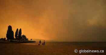 One year later, recovery in scorched path of McDougall Creek wildfire painfully slow