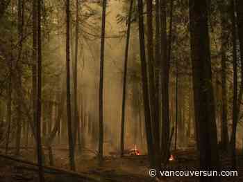B.C. wildfires: Change in weather expected to dampen fire activity parts of the province