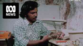 The 'very, very untold history' of Coober Pedy's Aboriginal opal miners