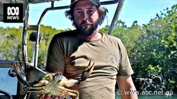 The lonely job where crocs, sharks and swarming mosquitoes are daily hazards