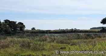 The Northumberland quarry which is now a nature reserve with hazy castle views