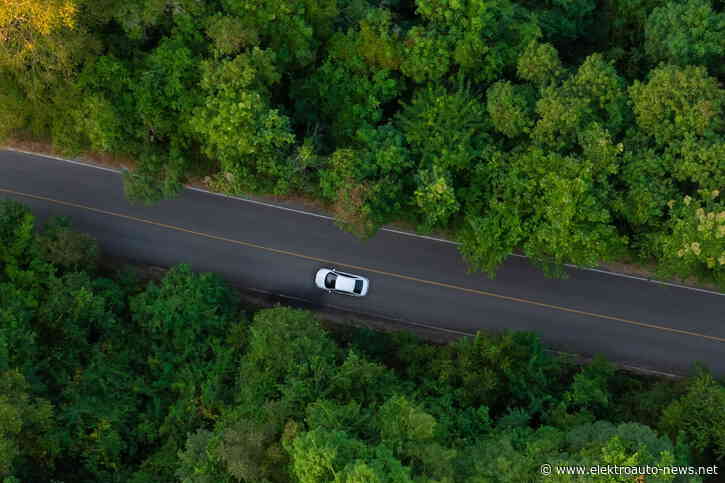 Diese 7 mittelgroßen E-Autos sind besonders sparsam