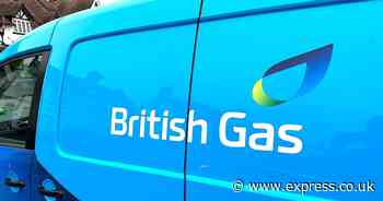 State pensioners with British Gas, EDF, EON or OVO set to lose £308