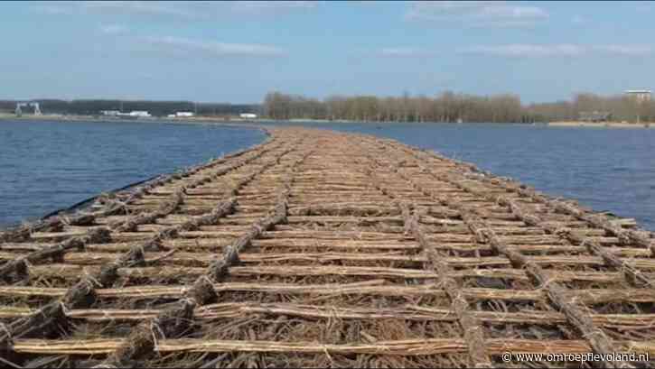 Almere - Nieuw wandelpad in Wilgenbos gaat drijven op het water