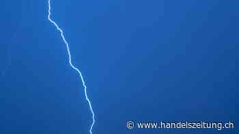 21 Schafe in Giswil OW von Blitz getötet