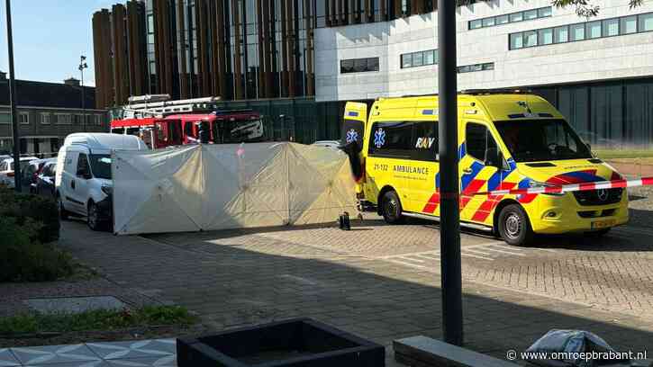 Dode bij auto-ongeluk, auto raakte geparkeerde auto en sloeg om