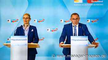 AfD: 59 Prozent der ostdeutschen Unternehmen sehen AfD als Gefahr