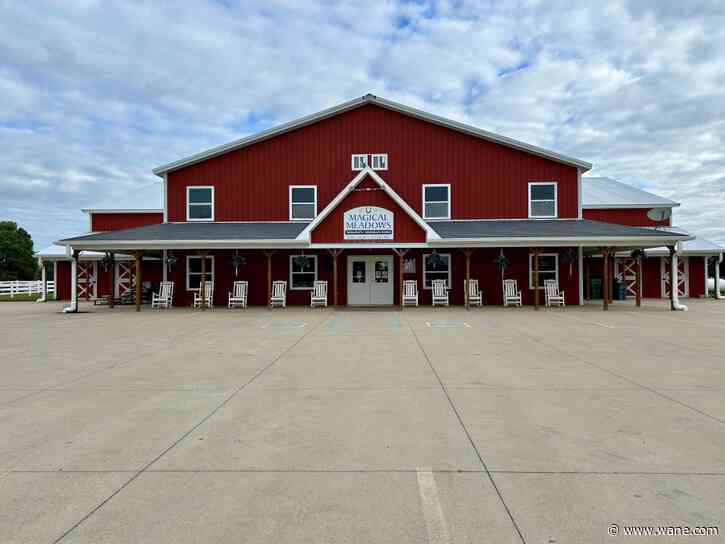 Veterans, first responders 'giddy-up' at Magic Meadows