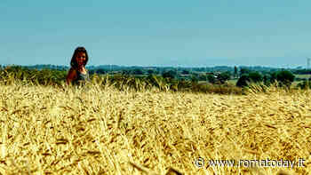 Alle porte di Roma la contadina 29enne che sta progettando la fattoria del futuro