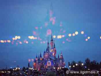 Muore in un parco Disney, ma il marito non può fare causa. Ecco l'assurdo motivo