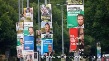 Wahlplakate im Osten verraten Parteistrategien – eine beunruhigt