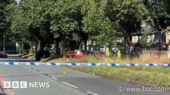 Major city road closed after serious tree crash