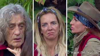 Wegen Beauty-OPs: Dschungelcamper schießt gegen Mitstreiterinnen – „Aufgeblasenen Volleybälle“