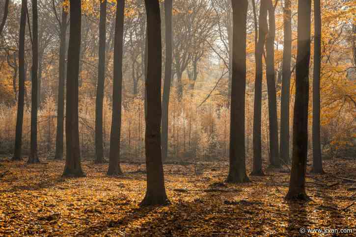 Sick of summer? NOAA releases fall weather predictions