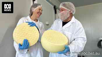 Almost-retired couple discover love of cheesemaking after buying kit during COVID