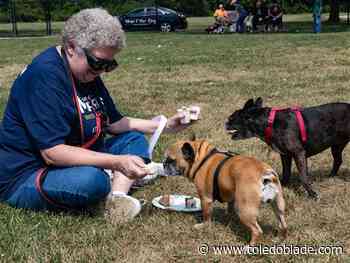 Glass City Dog Park celebrates 10th anniversary