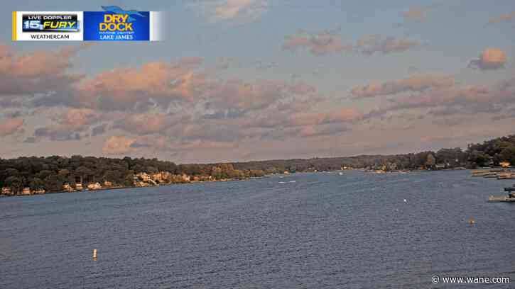 A few stray showers and patchy fog tonight