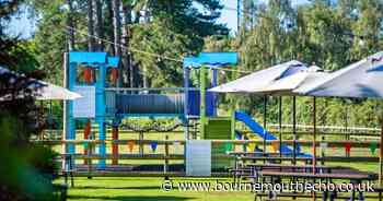 The New Forest pub with children's play area and bargain ice creams