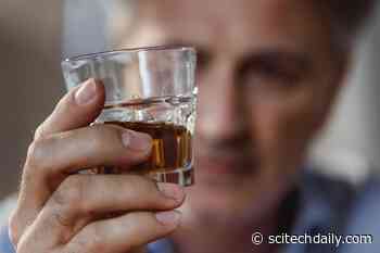 Unlocking the Molecular Secrets: How Alcohol Content Shapes Your Favorite Drinks