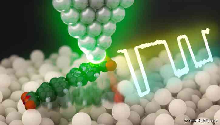 Atomic Control Unleashes New Era in Single-Molecule Optoelectronics